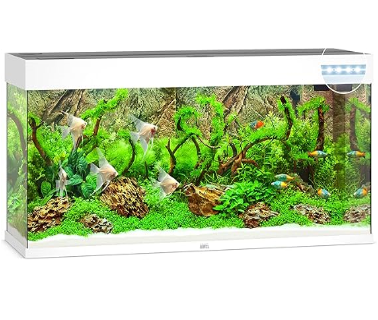 Juwel Acvariu Led Rio 350 Alb