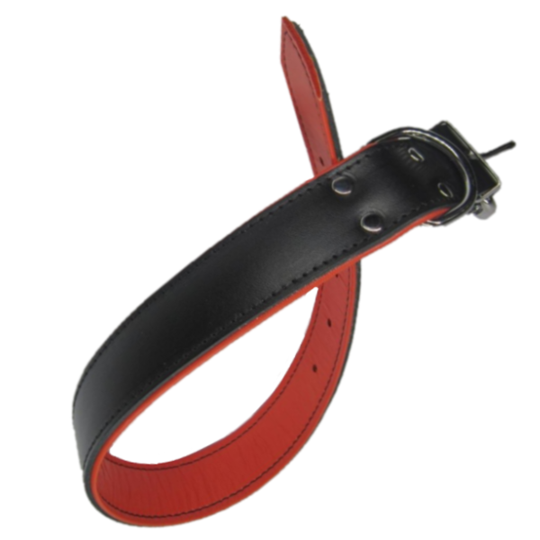 Streetside Zgarda Duo 1.2X36 cm NegruOrange Nr 0