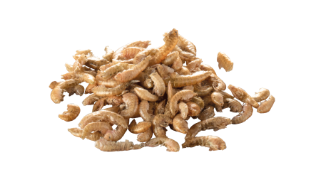 csm_T803358_9628_b8f8a6b81b