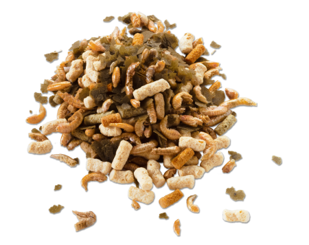 csm_T803628_9628_b499fd7e45