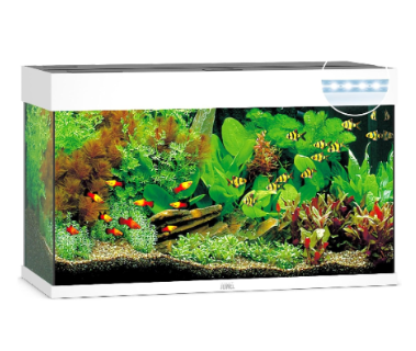 Juwel Acvariu Led Rio 125 Alb