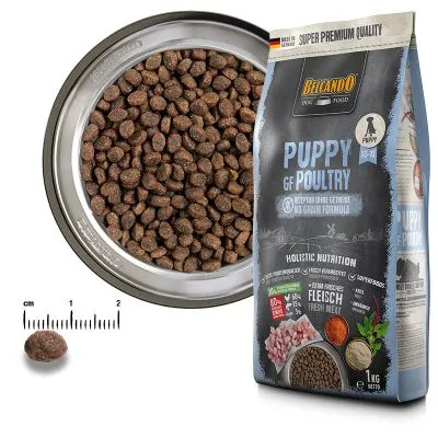 gf puppy polurity1