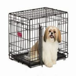 Custi pentru expozitie