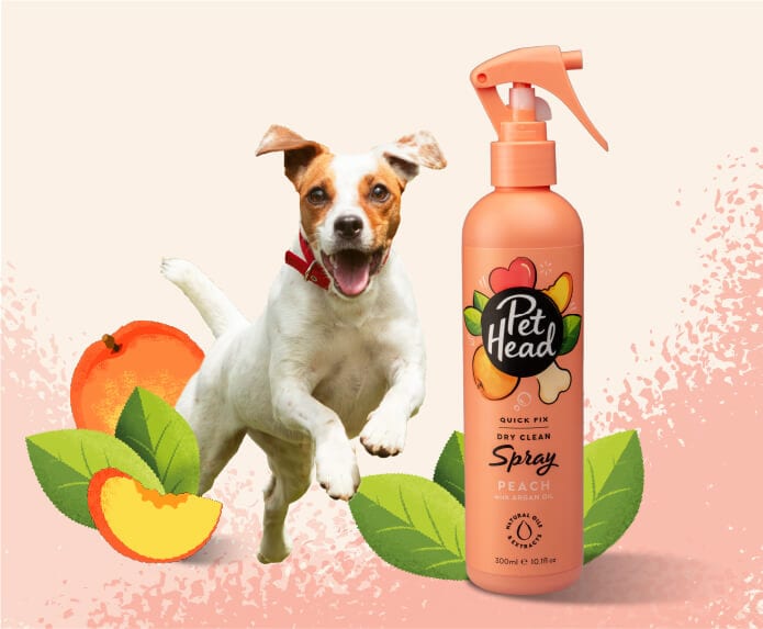 Pet Head Spray Quick Fix 300 ml Online petmagazin.ro