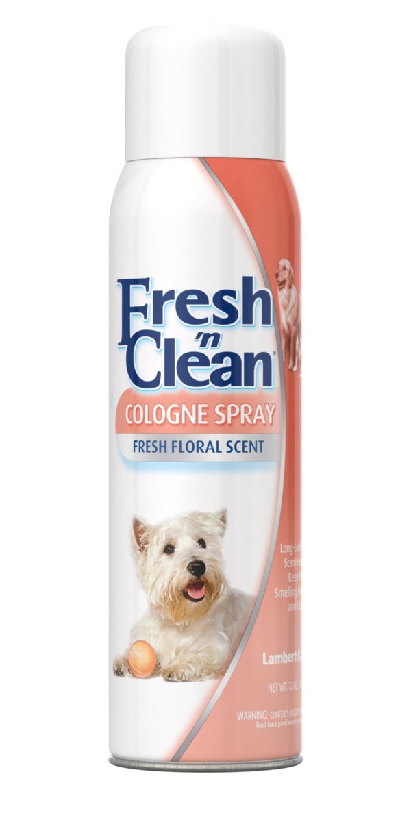 FRESHN-CLEAN-SPRAY-COLONIE-FLORAL-SCENT-170-GR-1