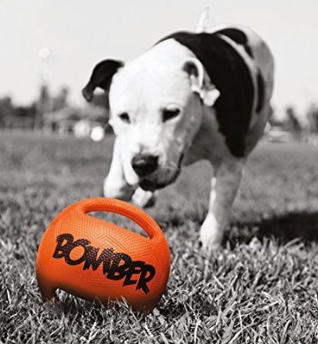 products-0018598_zeus-bomber-3-sizes