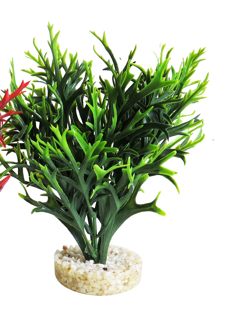 Sydeco Planta Water Fern Large 15 cm 349659