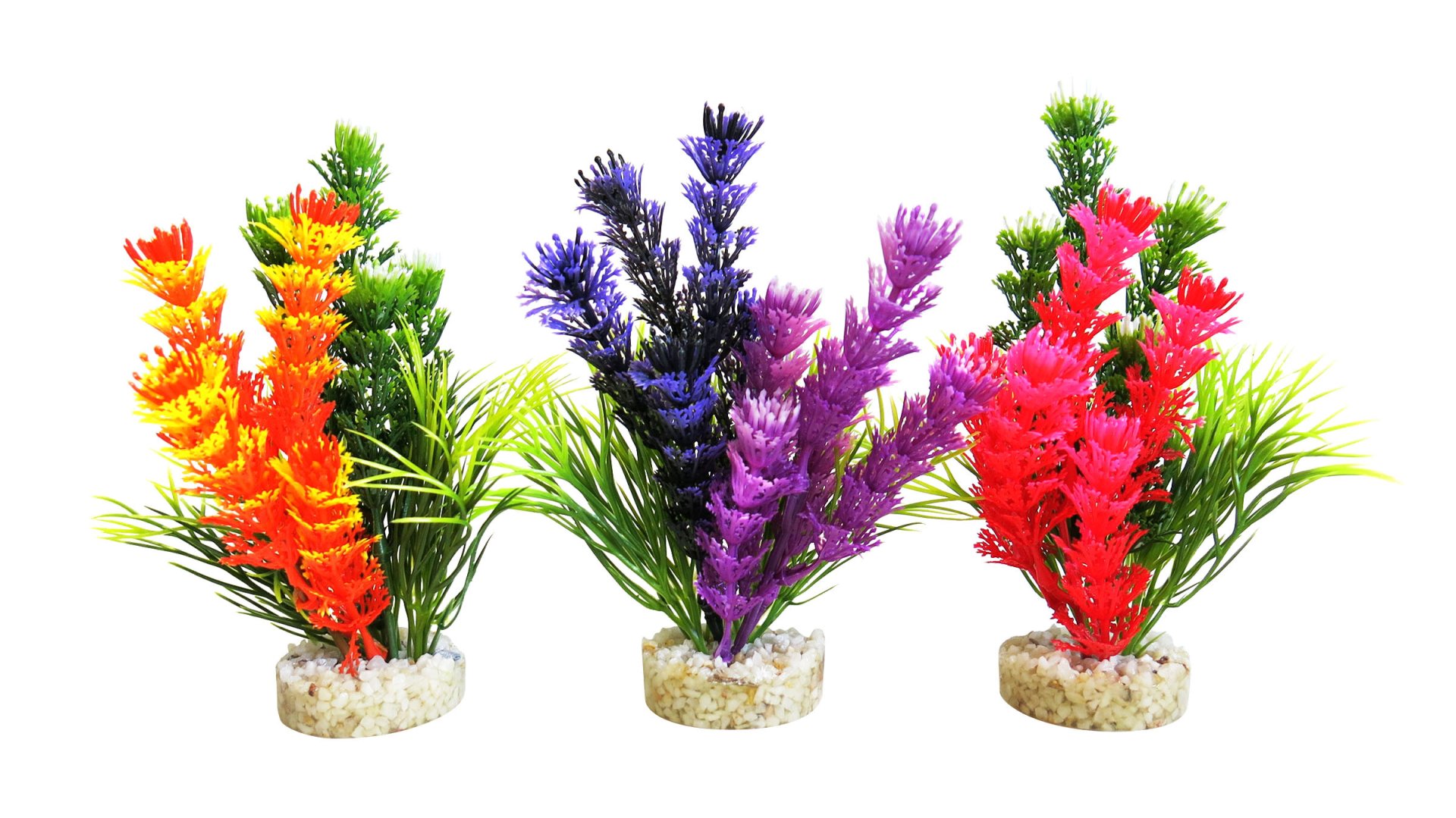 380269 Magic Fiesta Colors @Sydeco