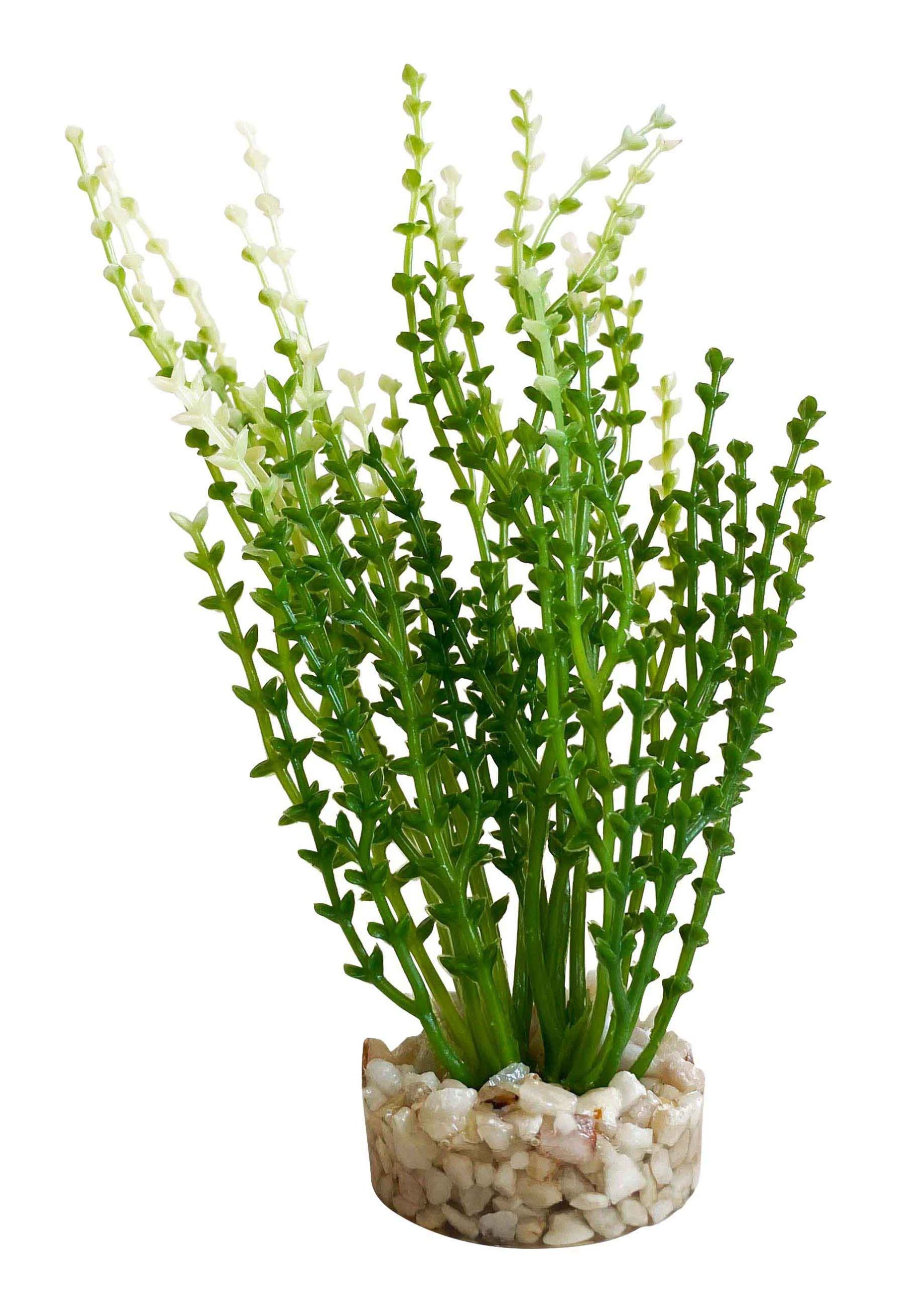 380278 Aqua Nano Moss Green @Sydeco