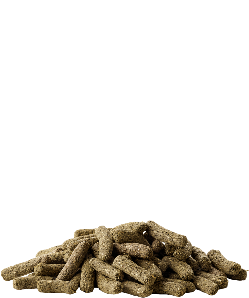 Versele Laga Chinchilla & Degu 500 g 2