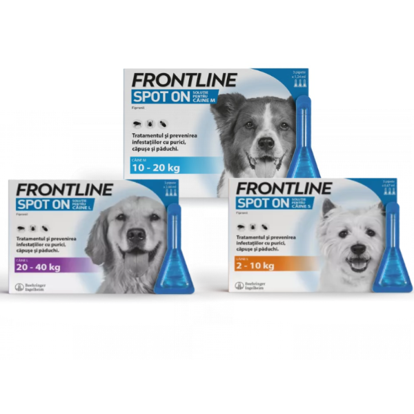 Frontline Caine - l