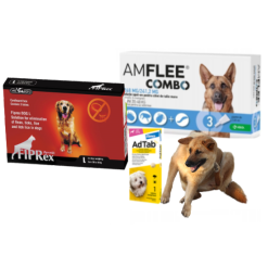 Produse Antiparazitare Caini