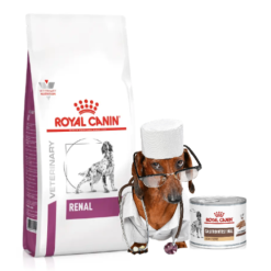 Diete veterinare caine