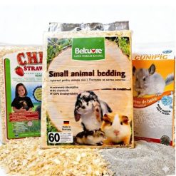 Asternut / Nisip / Accesorii