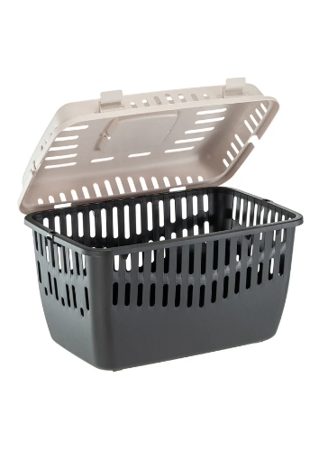 freepik-untitled-project-202601150819082749